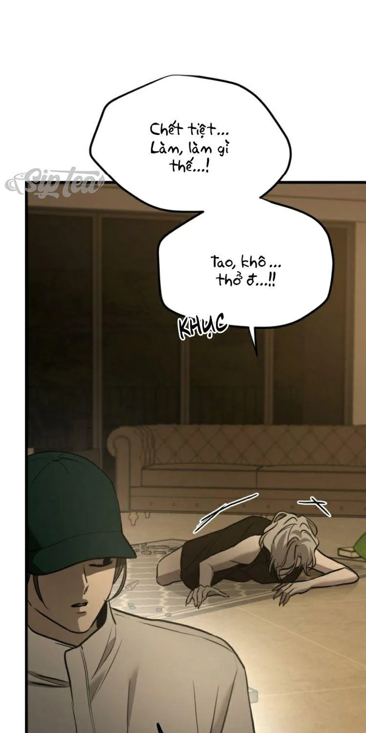 Chapter 23 - Trang 41