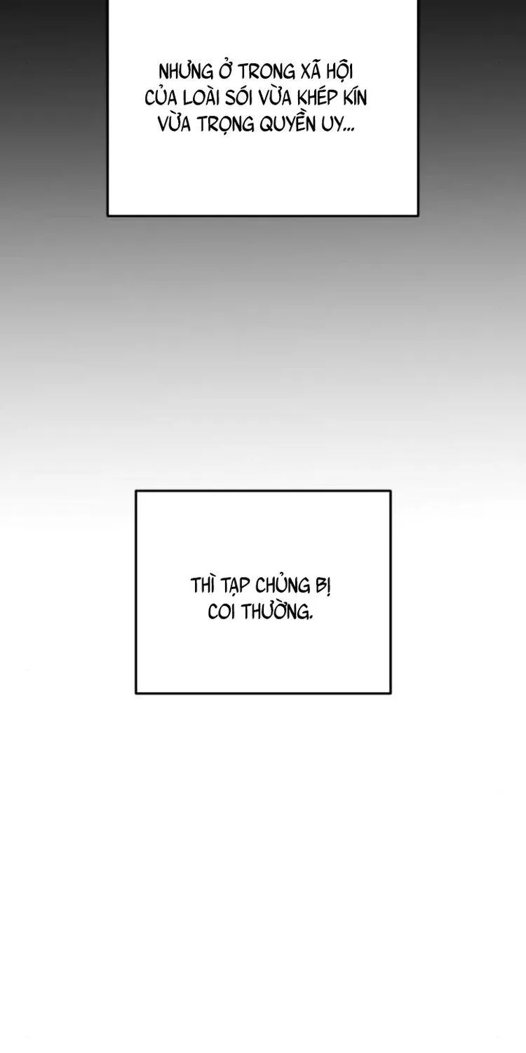 Chapter 23 - Trang 6