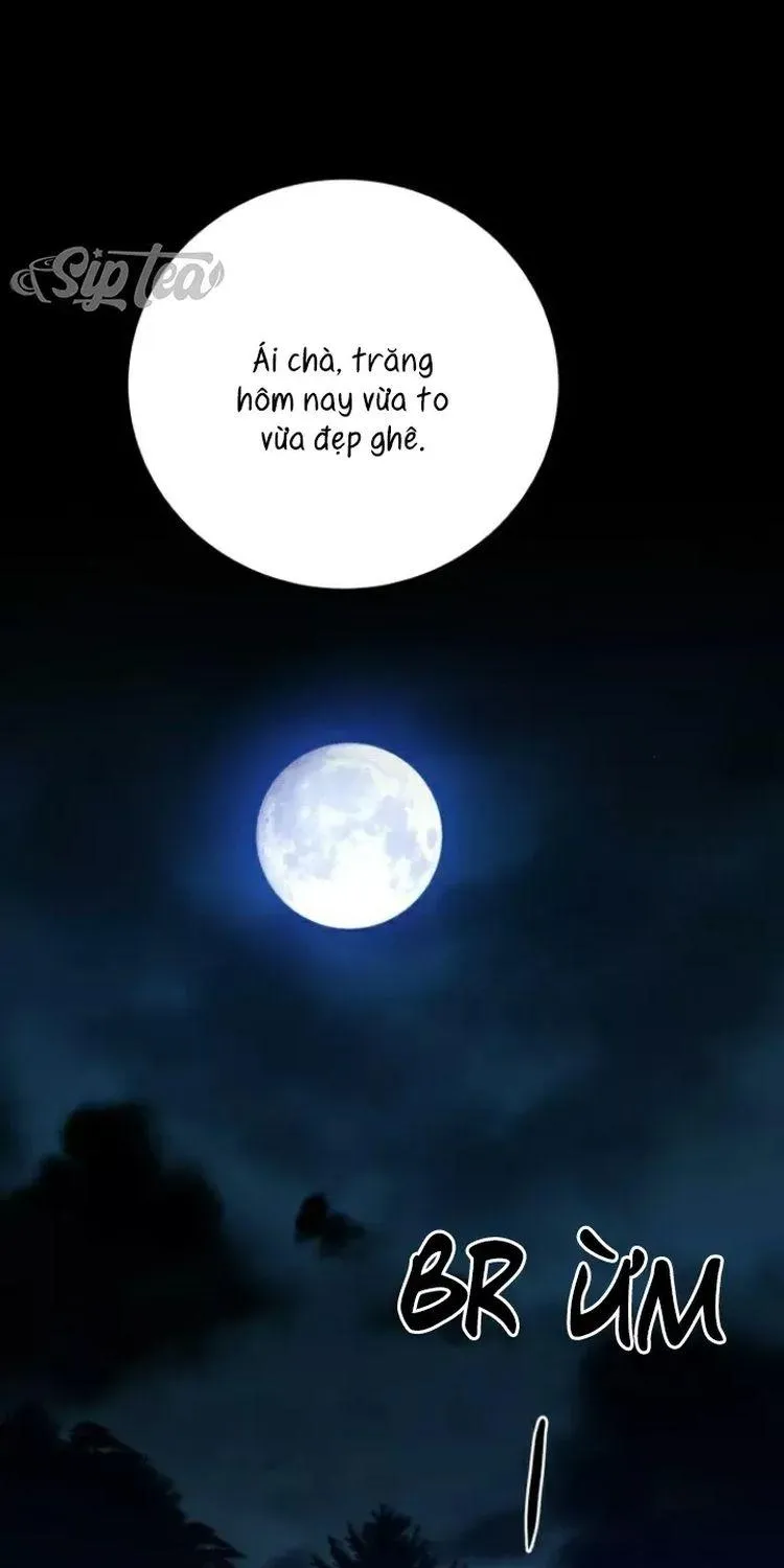 Chapter 26 - Trang 2