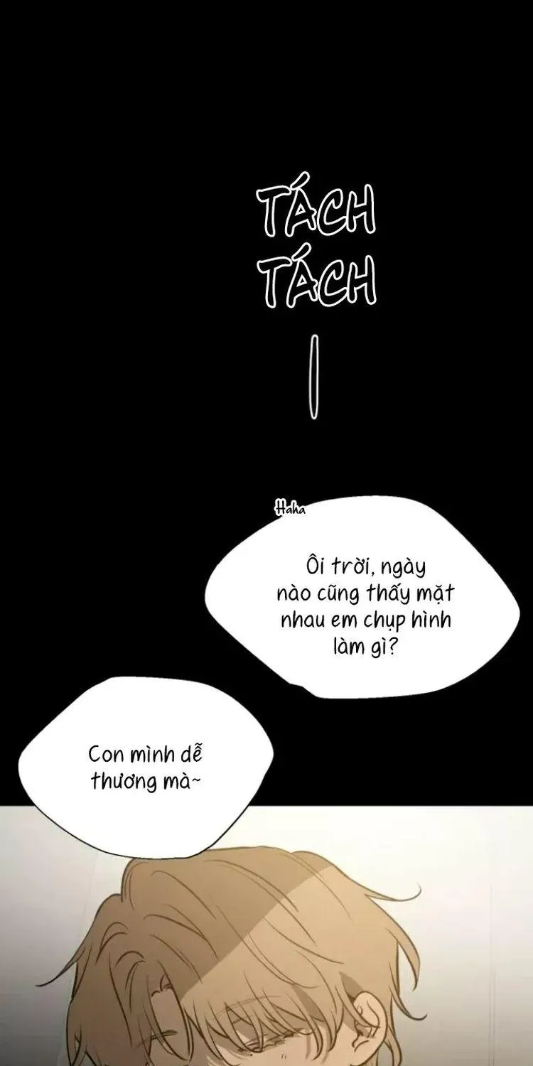 Chapter 26 - Trang 5