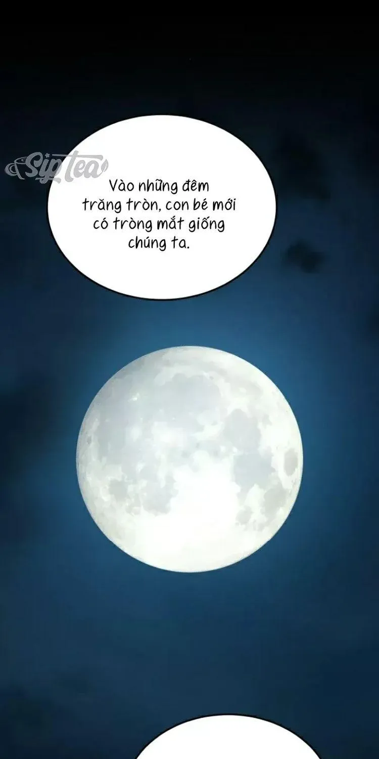 Chapter 27 - Trang 96