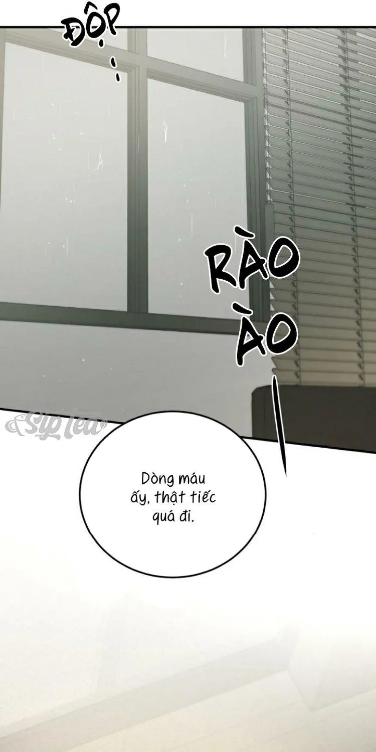 Chapter 29 - Trang 101