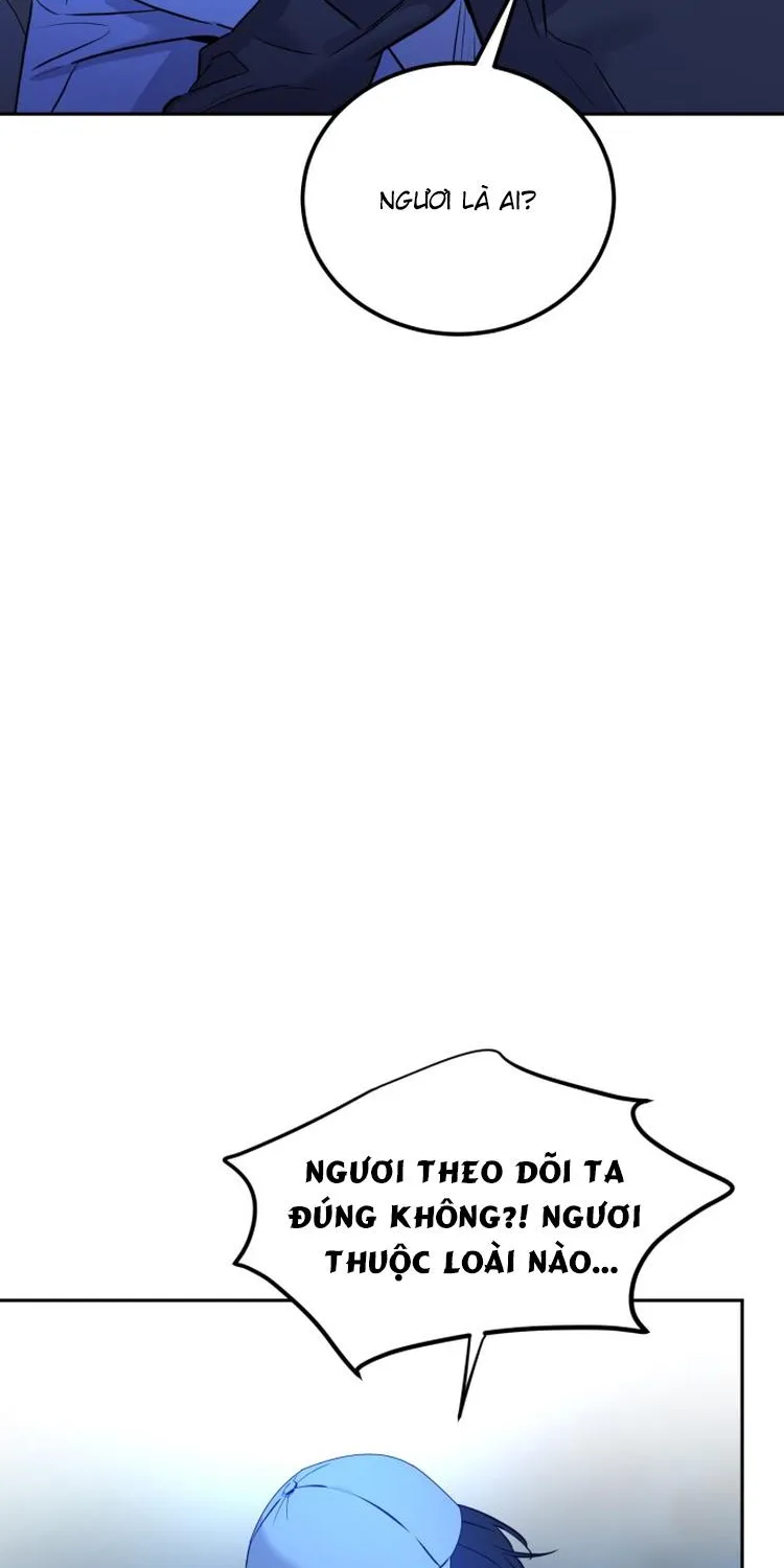 Chapter 3 - Trang 11