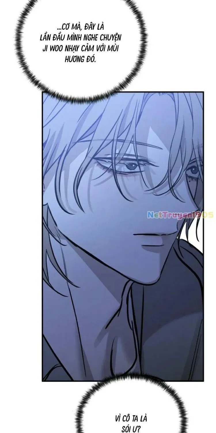 Chapter 37 - Trang 92