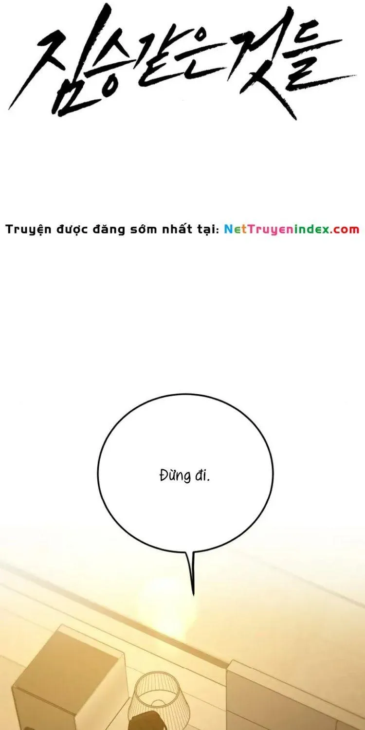 Chapter 40 - Trang 17