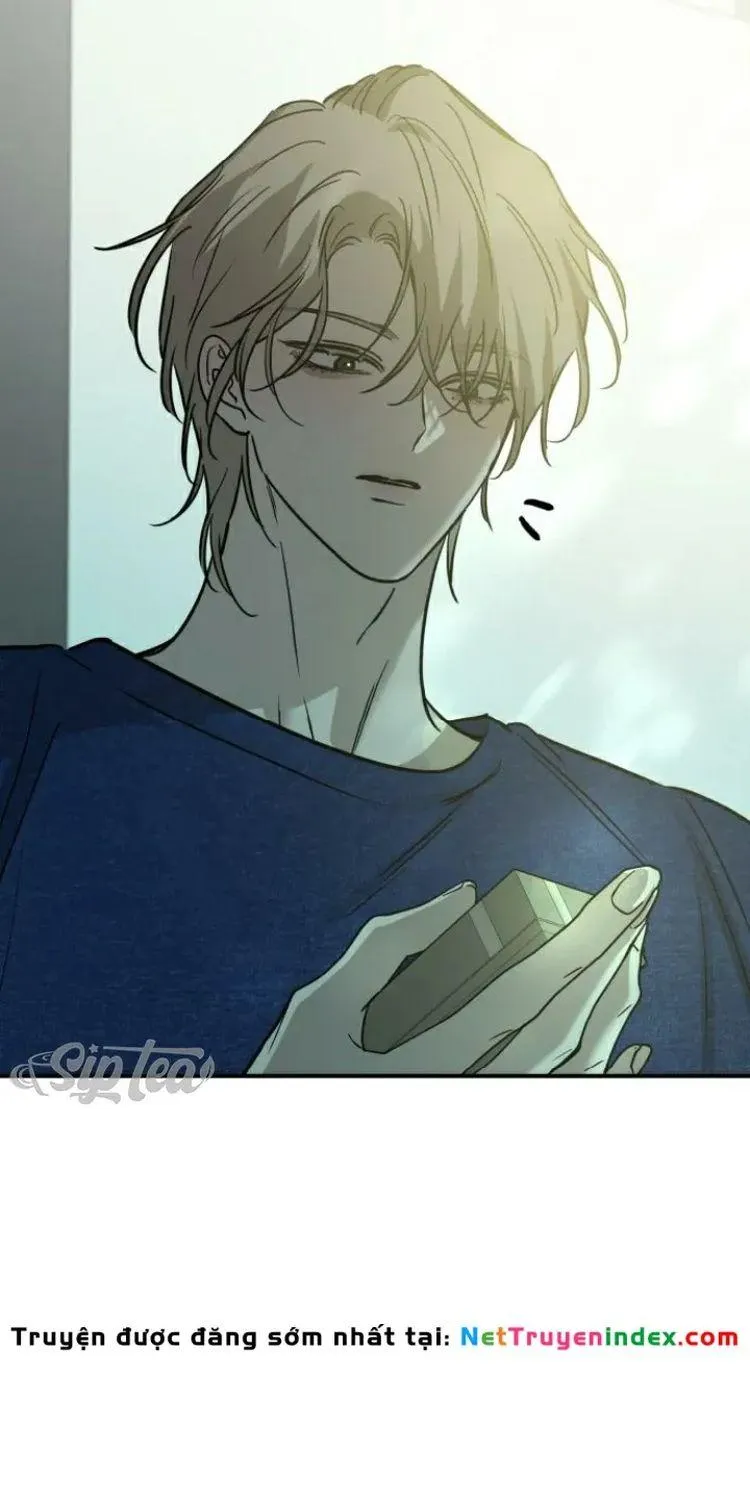 Chapter 41 - Trang 95
