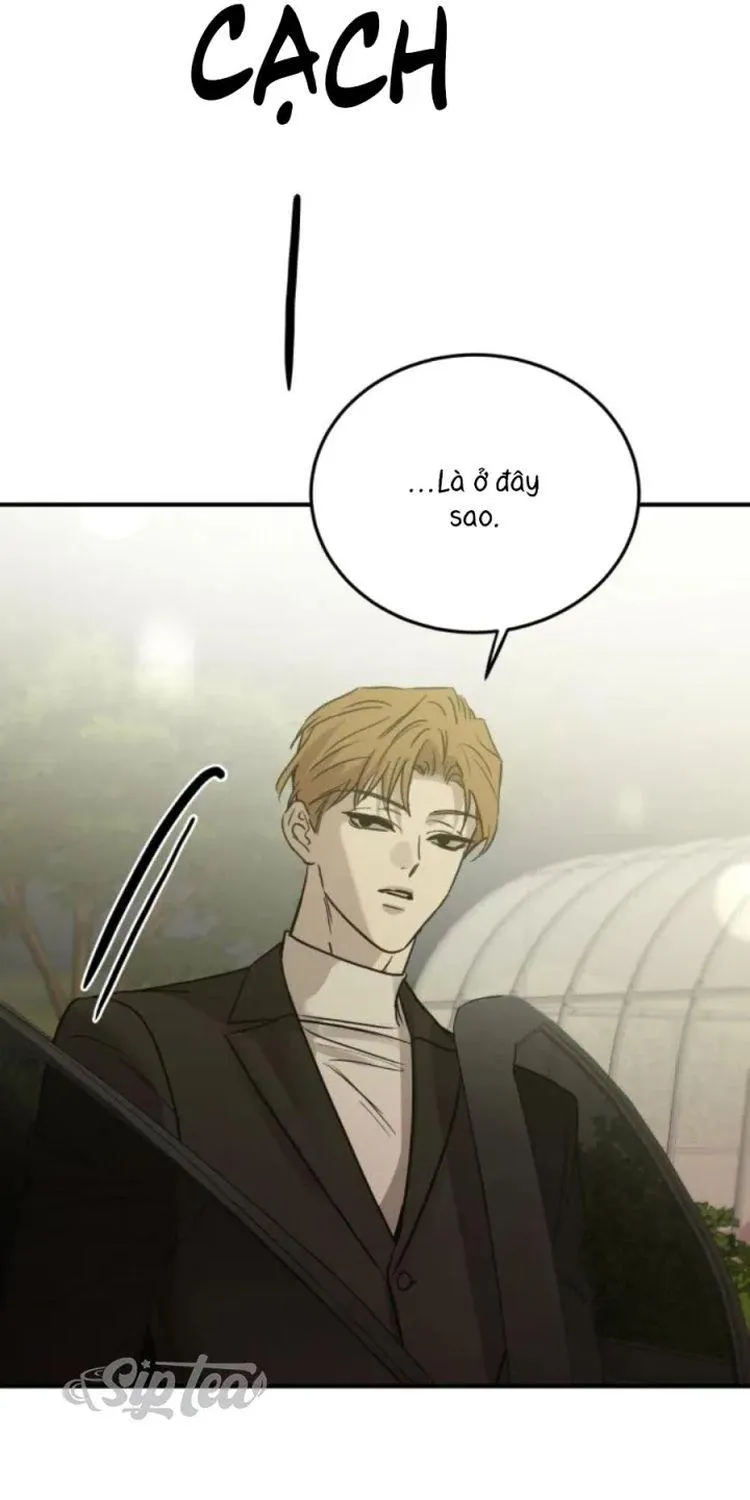 Chapter 46 - Trang 38