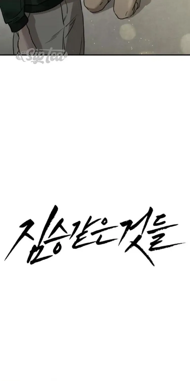 Chapter 47 - Trang 32