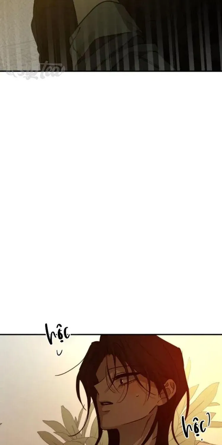 Chapter 62 - Trang 42