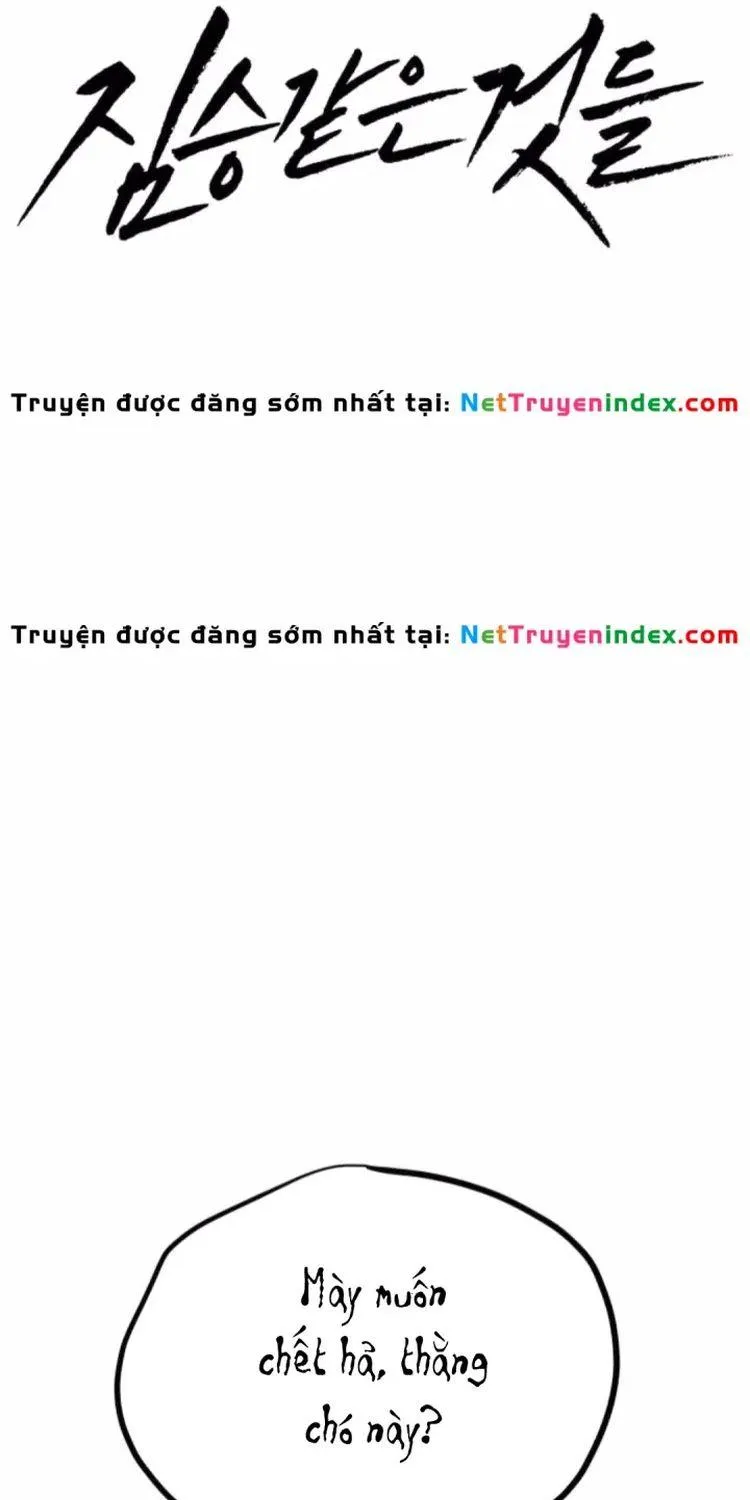 Chapter 66 - Trang 20