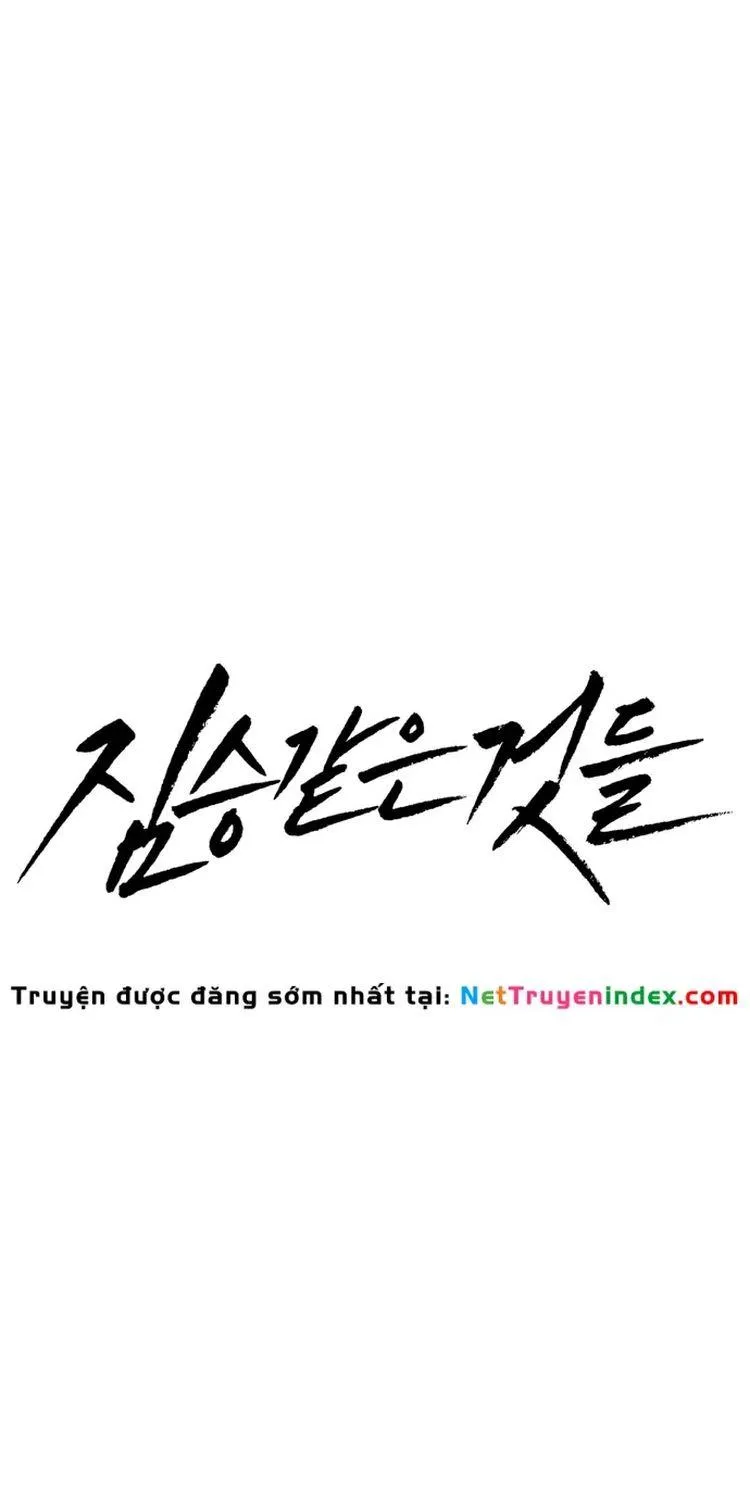 Chapter 70 - Trang 23