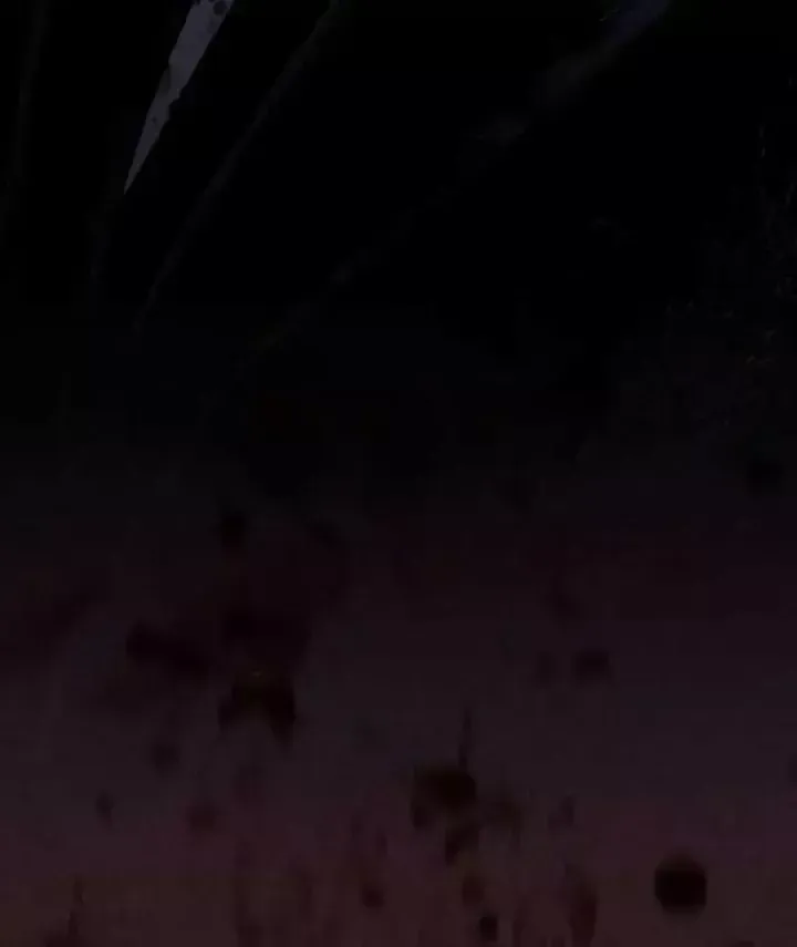 Chapter 30 - Trang 168