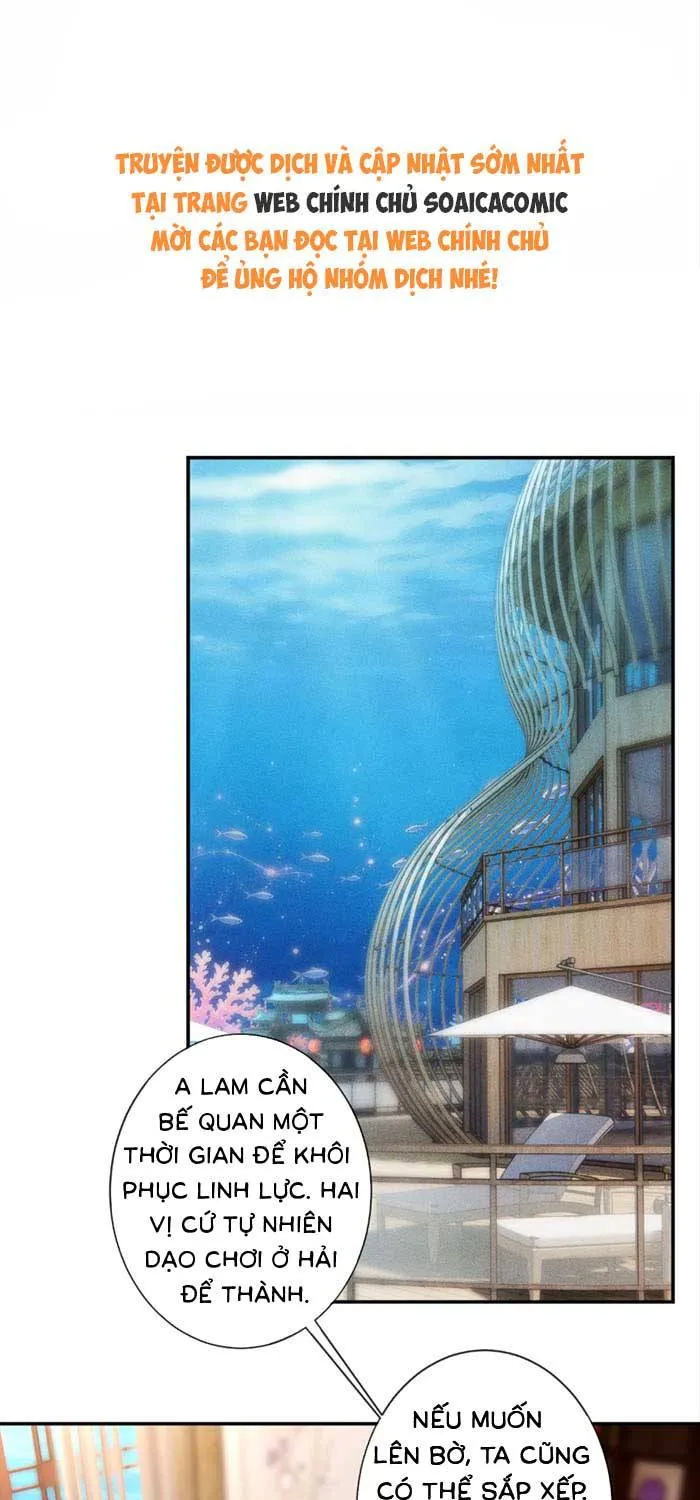 Ôm Khẩn Tiểu Mã Giáp Của Tôi - Chap 430 - Trang 1