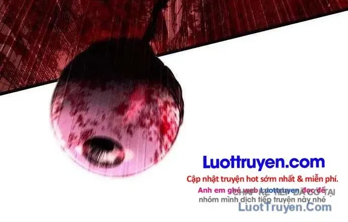 Chapter 6 - Trang 17
