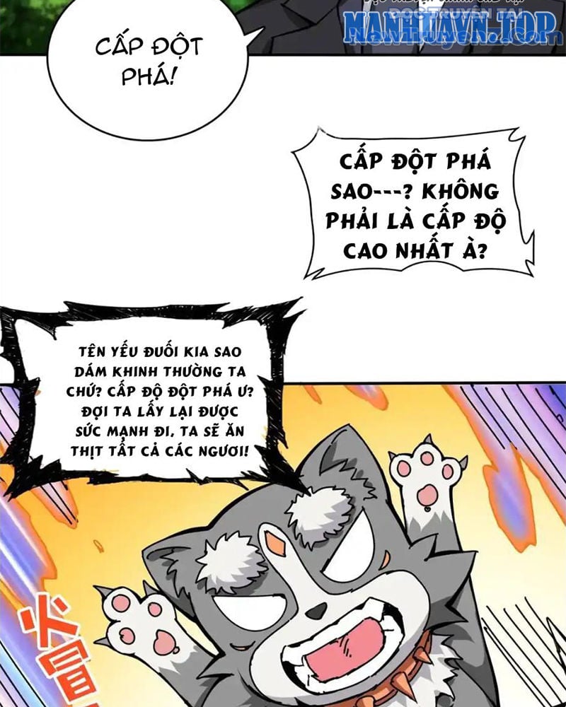 Trang 20