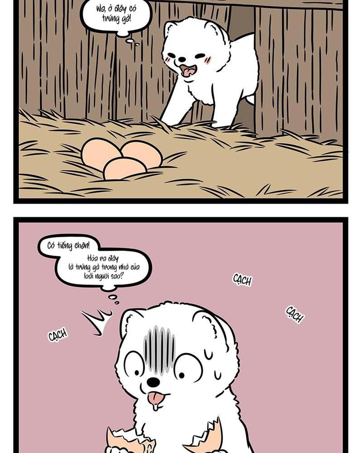 Trang 7