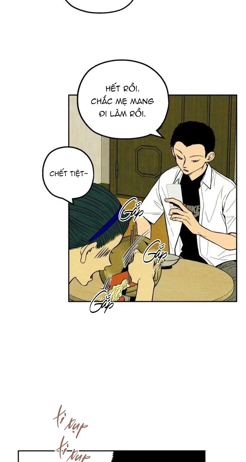 Chapter 15 - Trang 11