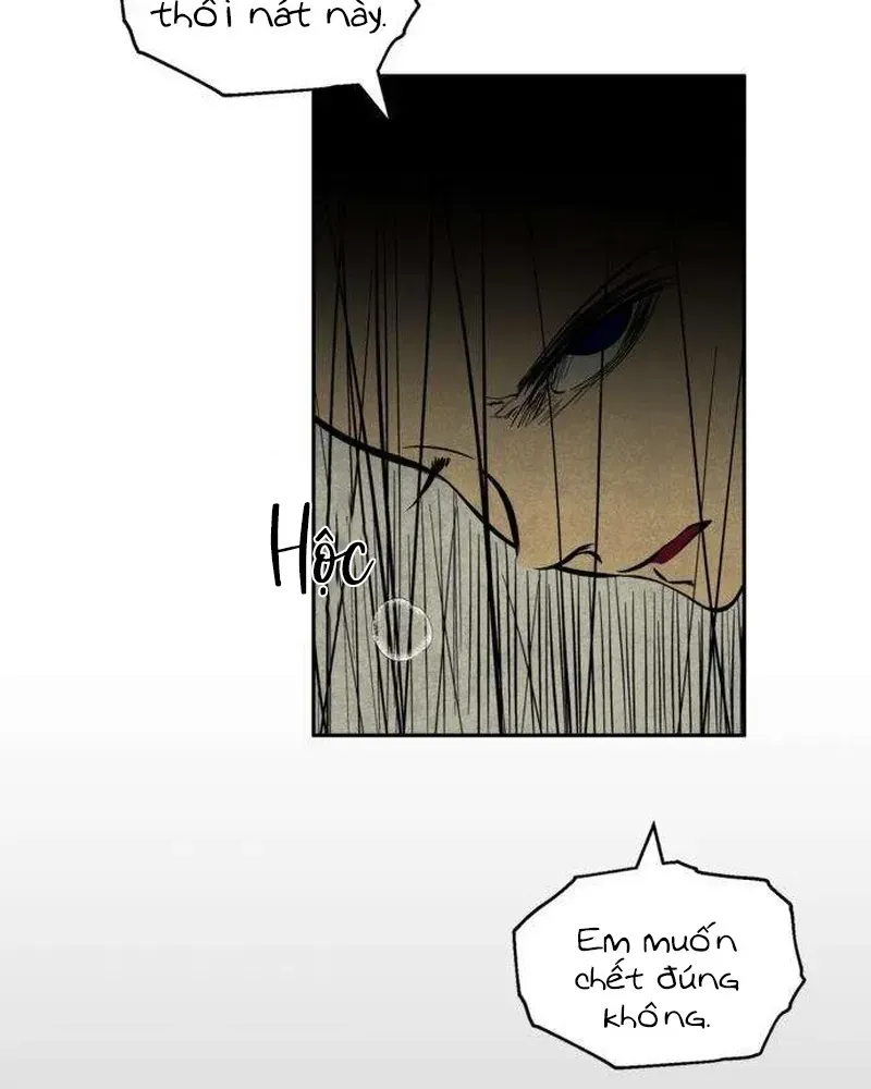 Chapter 16 - Trang 4
