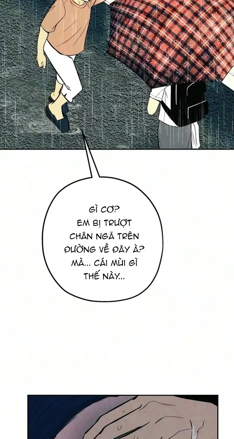 Chapter 18 - Trang 19
