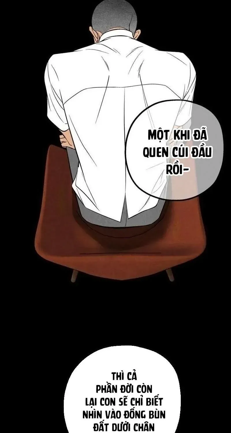 Chapter 6 - Trang 43