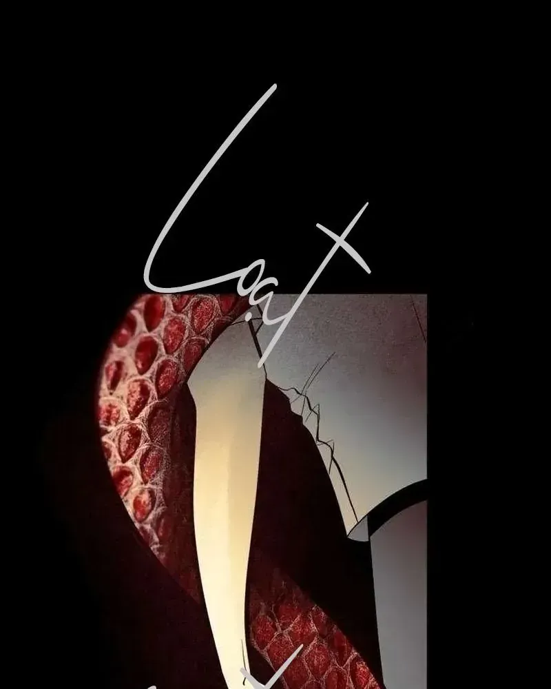Chapter 8 - Trang 13