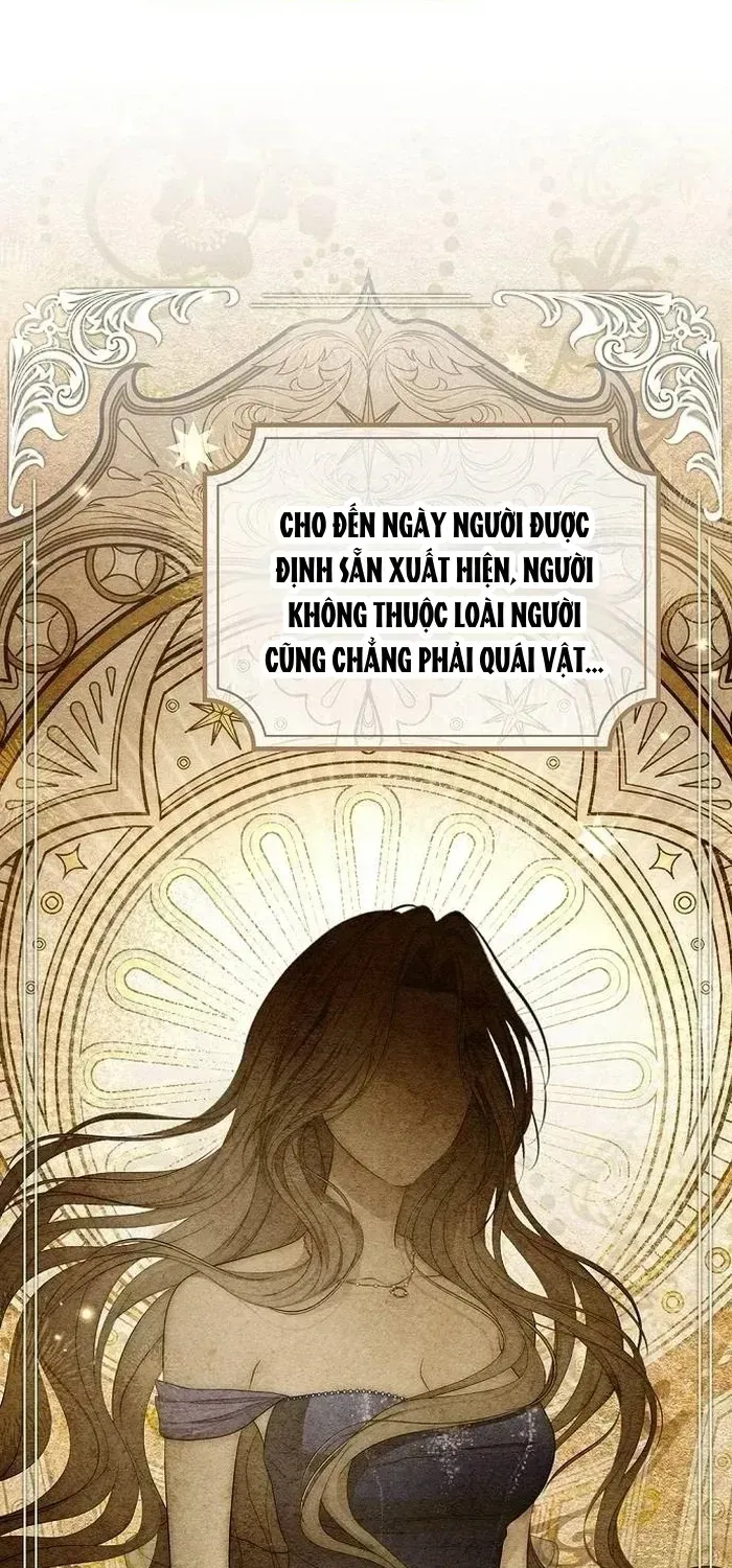 Chapter 26 - Trang 12