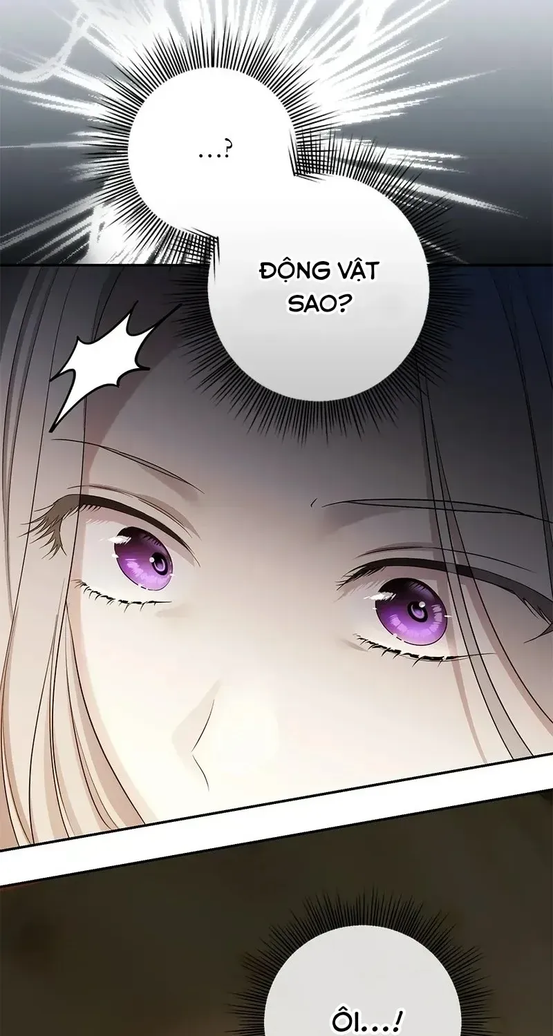 Chapter 37 - Trang 64