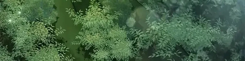 Chapter 39 - Trang 11