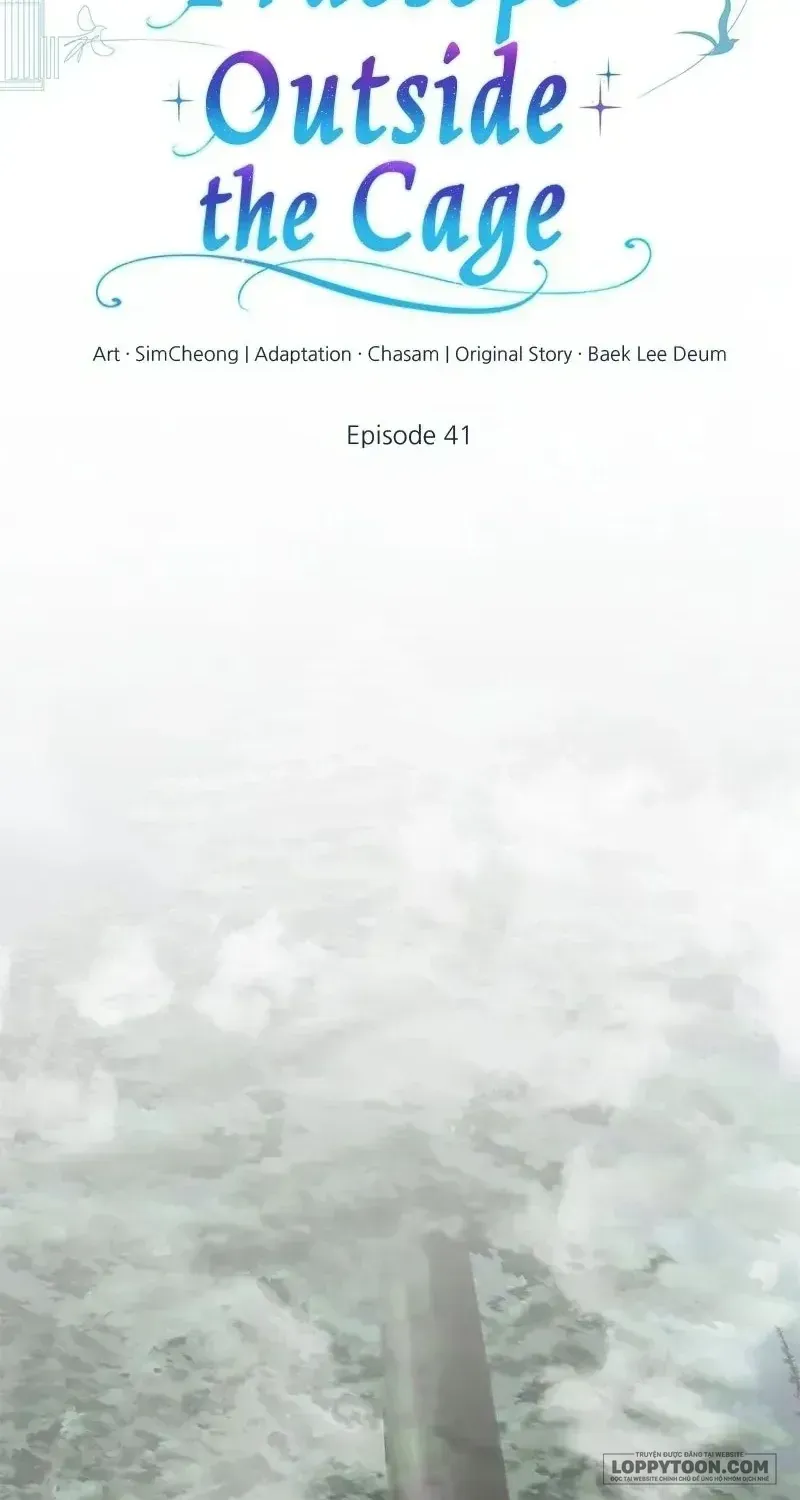 Chapter 41 - Trang 13