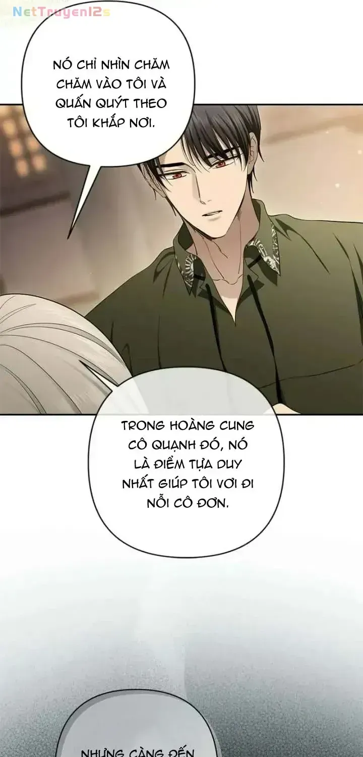 Chapter 54 - Trang 62