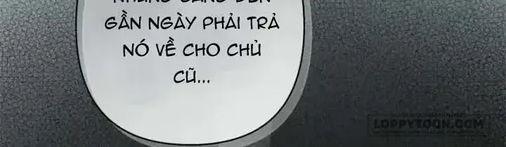 Chapter 54 - Trang 63