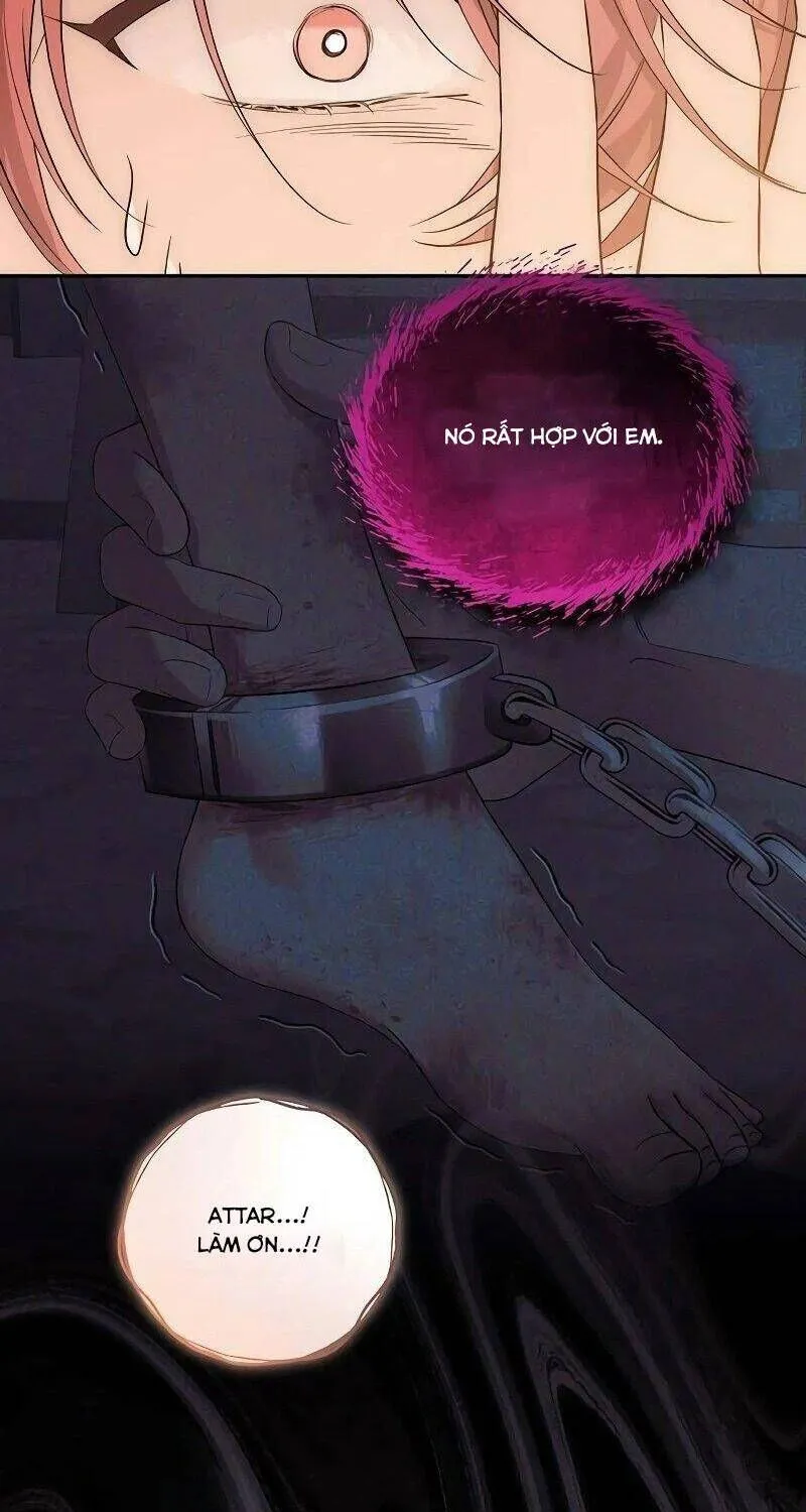 Chapter 6 - Trang 14