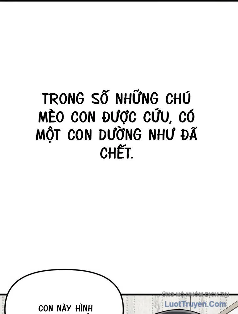 Chương 0 - Trang 29