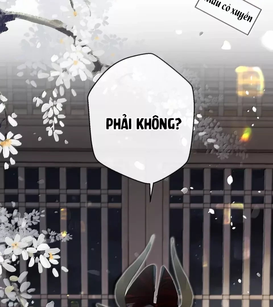 Quấn Quýt - Chap 20 - Trang 5