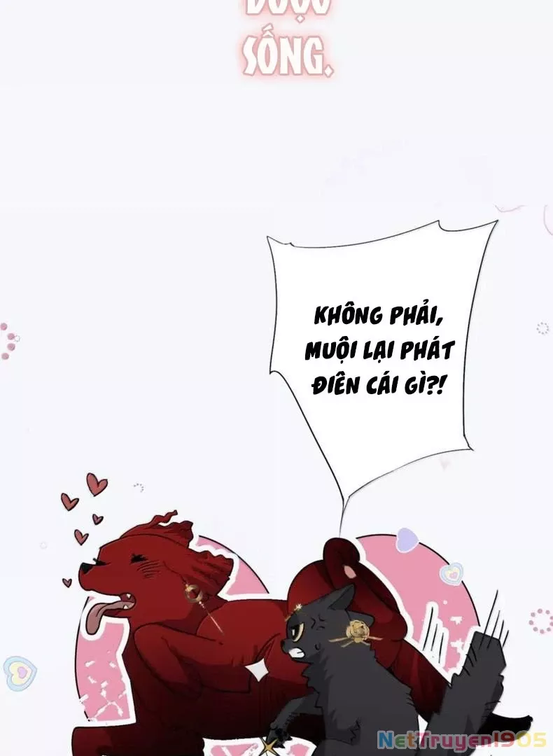 Quấn Quýt - Chap 22 - Trang 33