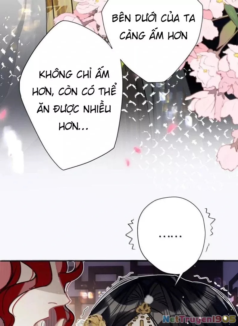 Quấn Quýt - Chap 22 - Trang 42