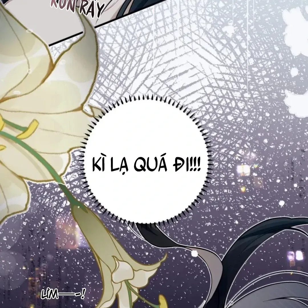 Quấn Quýt - Chap 39 - Trang 11