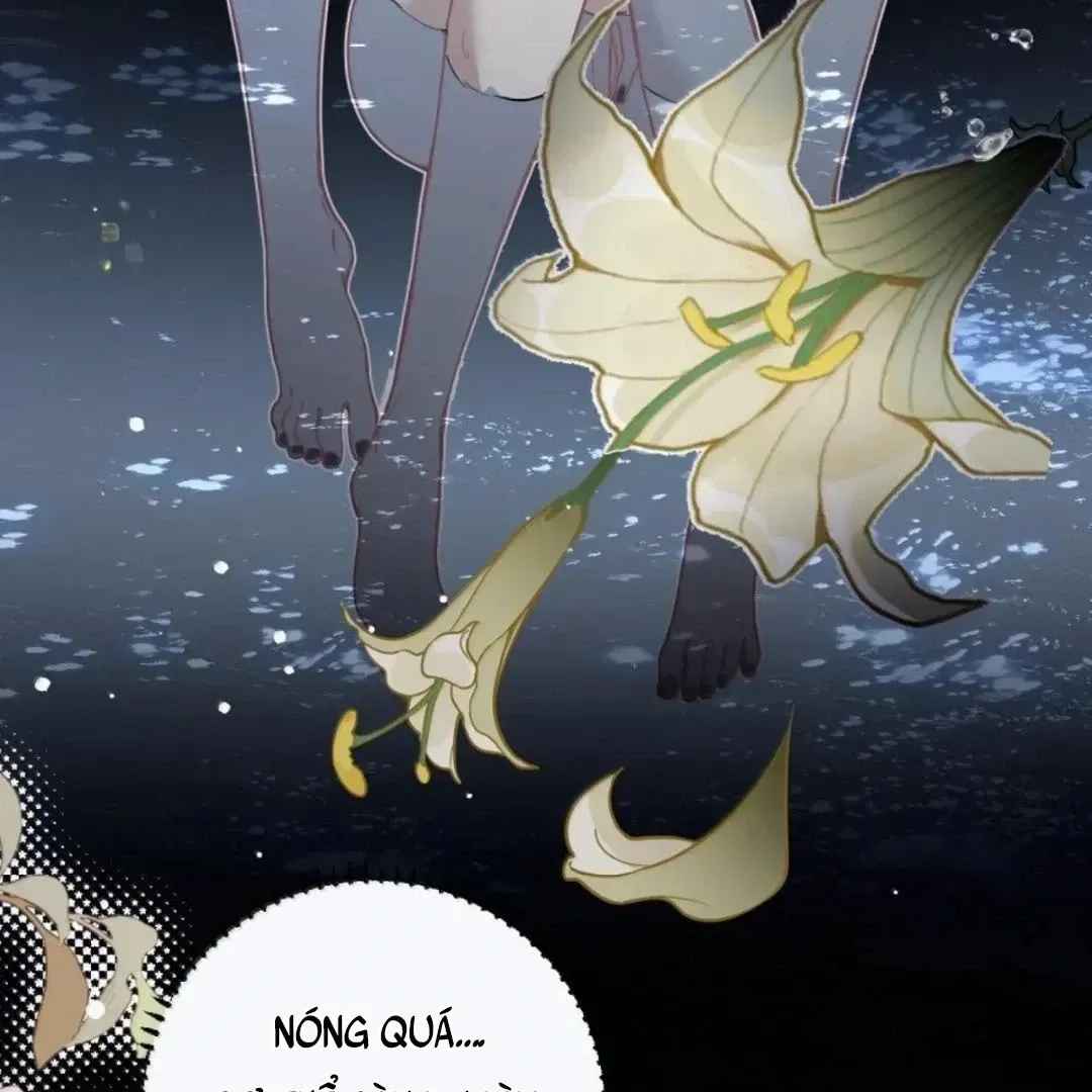Quấn Quýt - Chap 39 - Trang 44