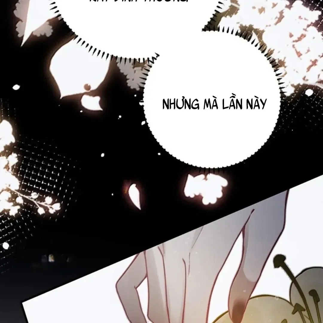 Quấn Quýt - Chap 39 - Trang 8