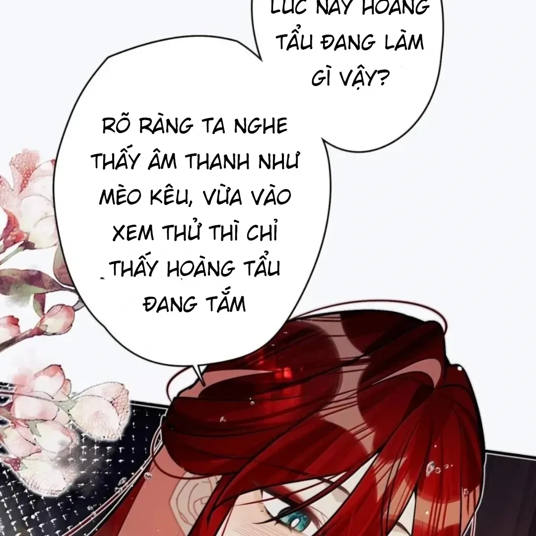 Quấn Quýt - Chap 40 - Trang 15