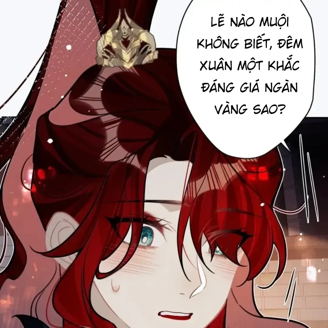 Quấn Quýt - Chap 43 - Trang 14