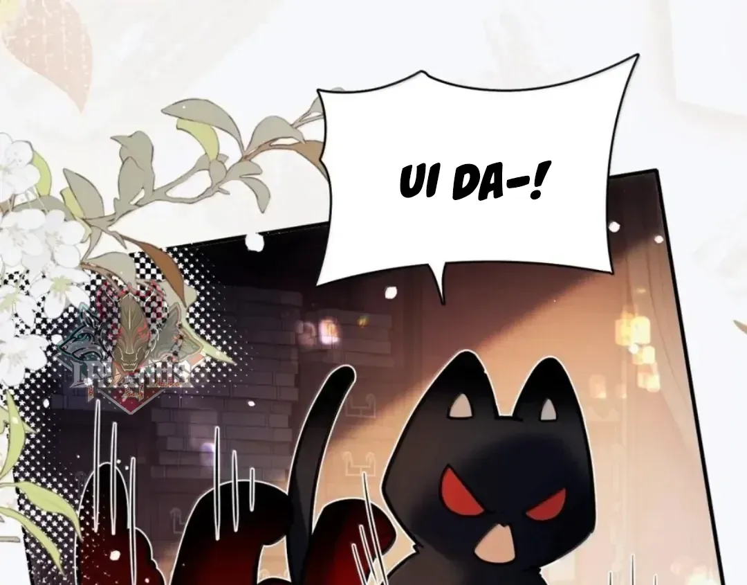 Quấn Quýt - Chap 43 - Trang 27