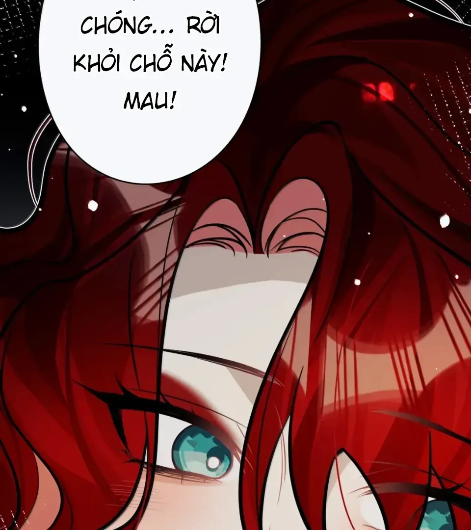 Quấn Quýt - Chap 46 - Trang 14