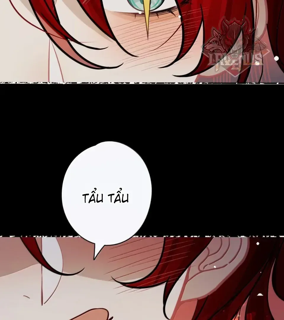 Quấn Quýt - Chap 46 - Trang 21