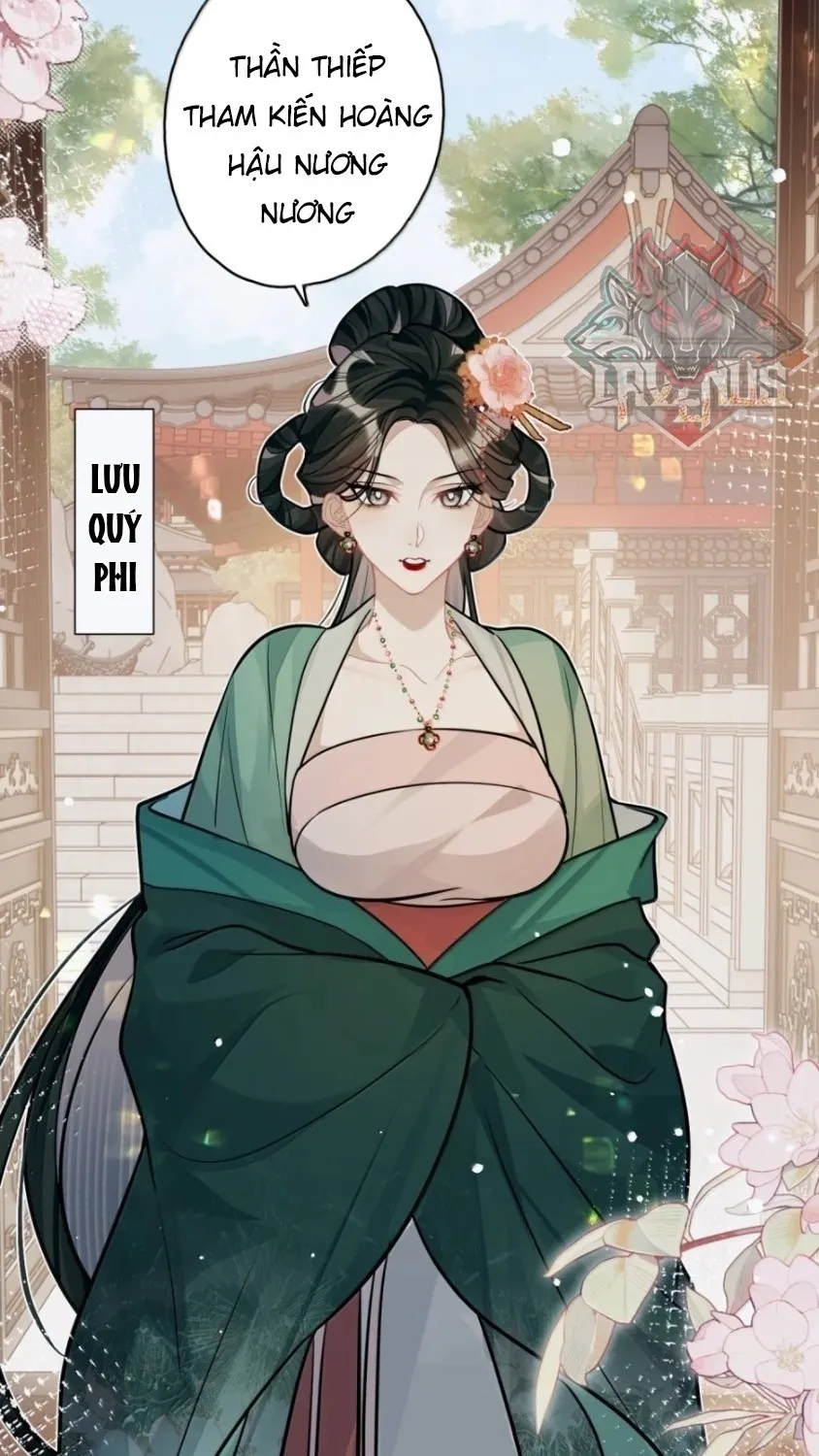 Quấn Quýt - Chap 48 - Trang 50