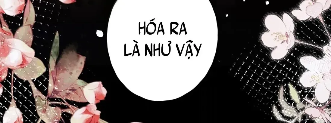 Quấn Quýt - Chap 50 - Trang 24
