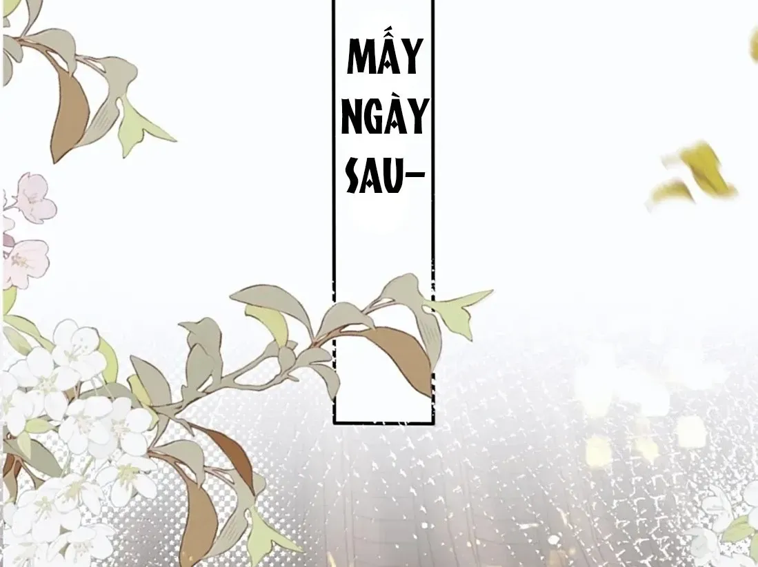 Quấn Quýt - Chap 50 - Trang 61