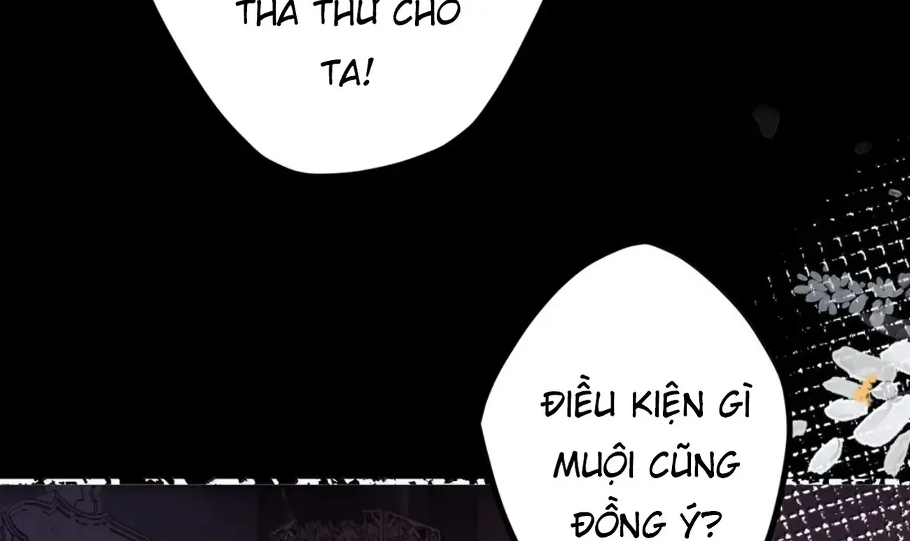 Quấn Quýt - Chap 58 - Trang 53