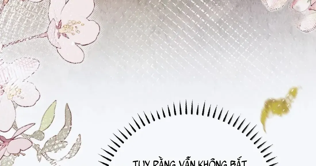 Quấn Quýt - Chap 69 - Trang 8