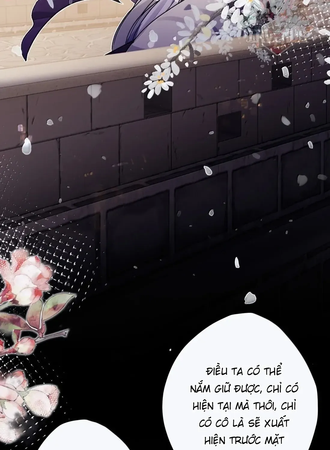 Quấn Quýt - Chap 72 - Trang 48